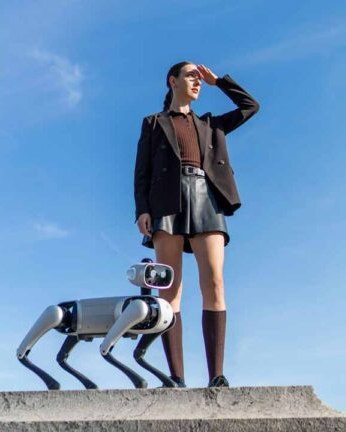 Robot Chien IA 2026 – Dialogue Vocal, Marche, Aboie, Remue La Queue – Rechargeable, Personnalisable – Compagnon Intelligent