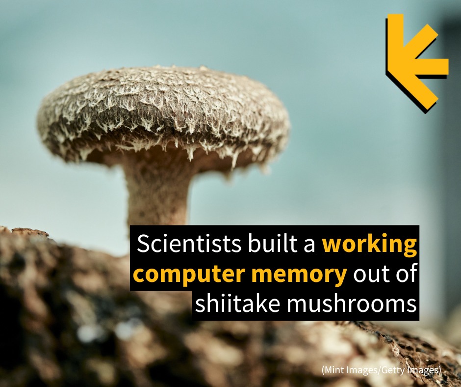 ScienceAlert - 