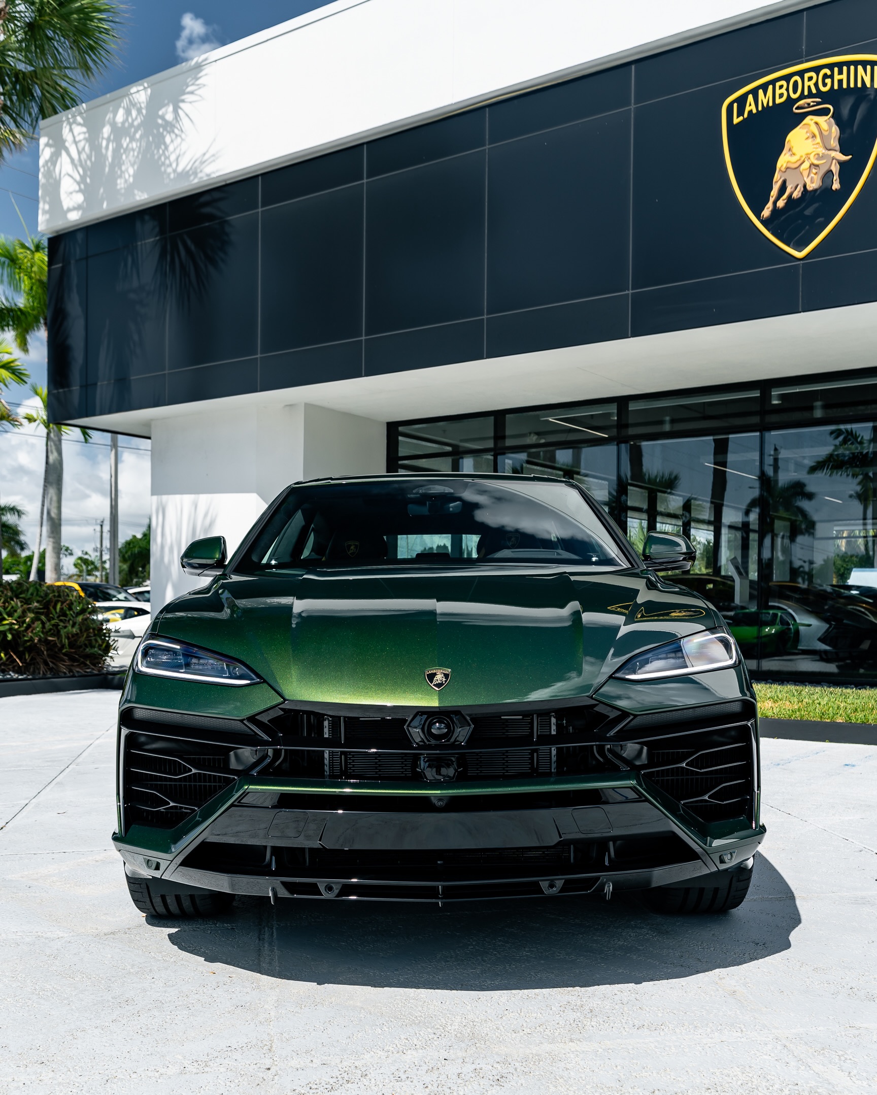 Refined finish. Aggressive presence. The Urus SE finished in
