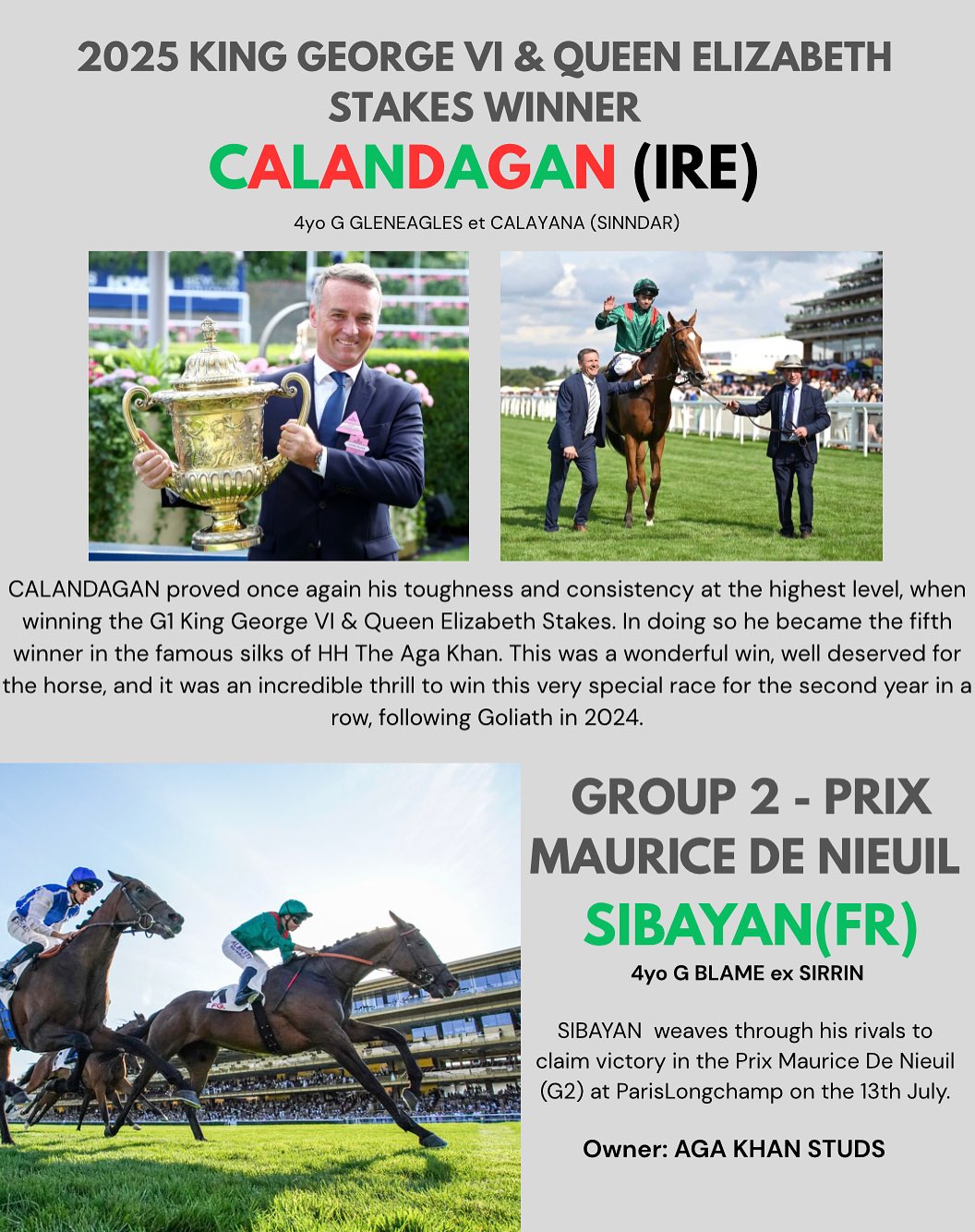 Graffard Racing - {Results 3 Jan17} Ridden by Pierre Charles Boudot ...