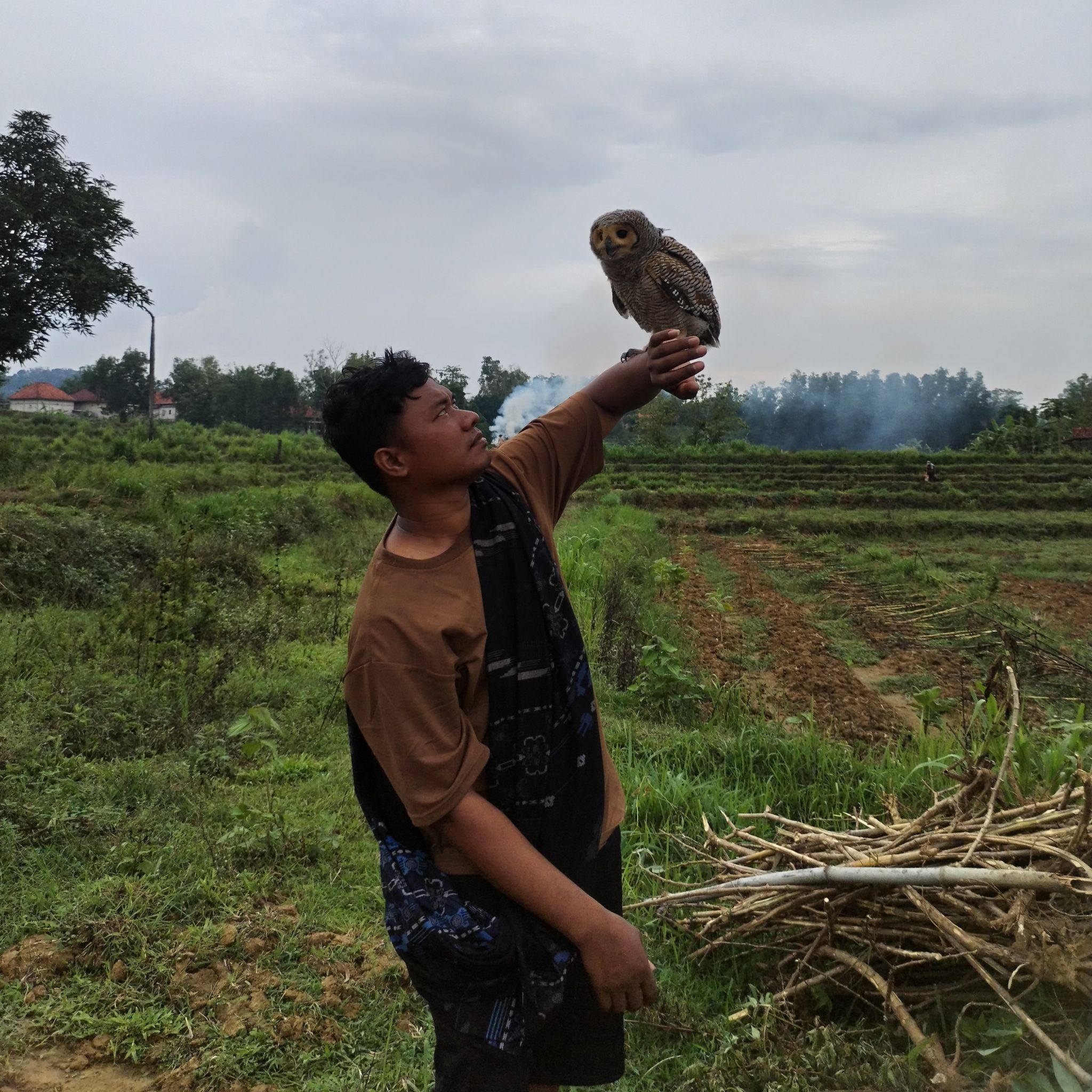 pressing a bird against a rock | Kreator Mdr
