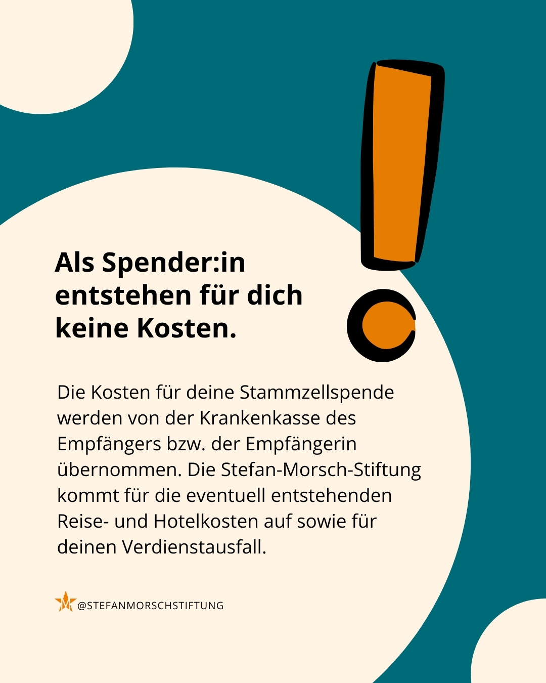 hiland kinderfahrrad 12 zoll Starry 12/14/16 Kinderfahrrad, Mädchenfahrrad mit Stützrädern, Rosa/Lila Handbremse Rücktrittbremse Gepäckträger : Swimming Cap Silicone Goggles gartenmöbel Variante:Größe XXL/11 ⎥ Schwarz ⎥ 144x Stk (=72 Paar) ⎥ 25% Rabatt