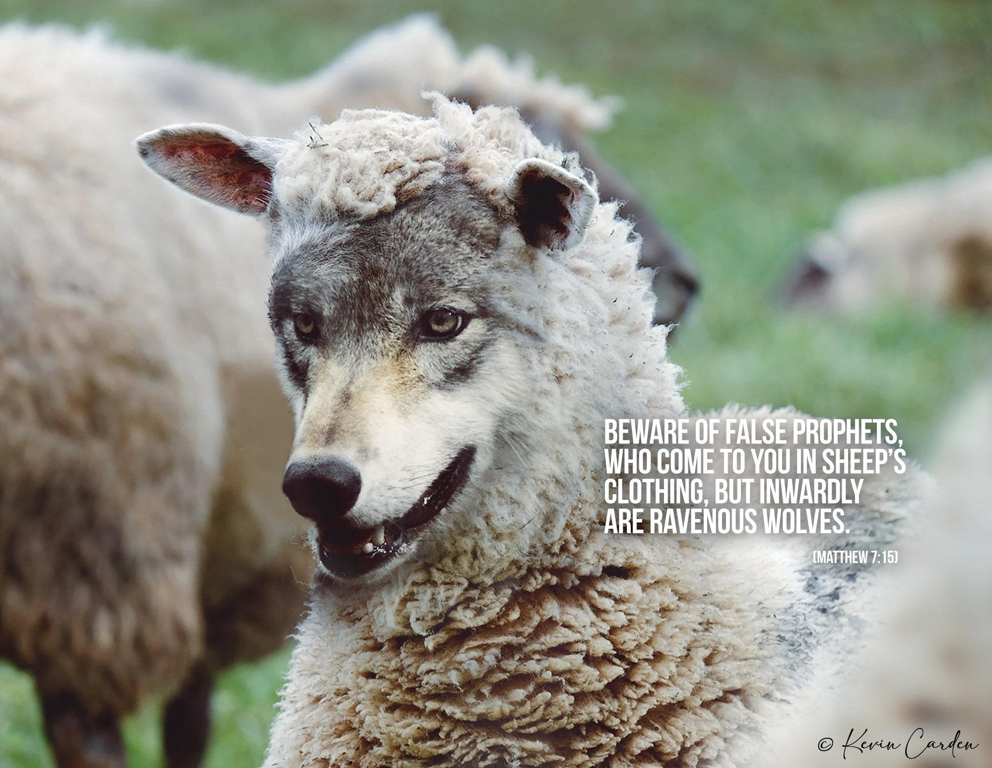 Lara Belle - The false prophets are everywhere but just as... | Facebook