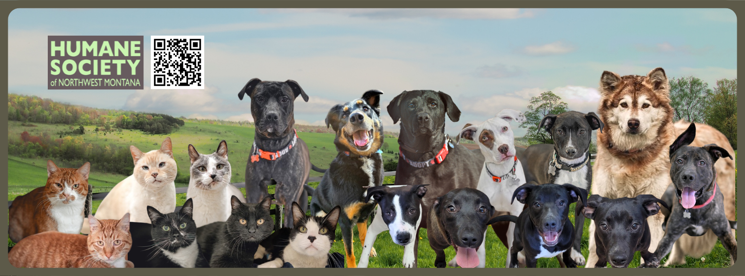 Humane Society of Northwest Montana | Kalispell MT