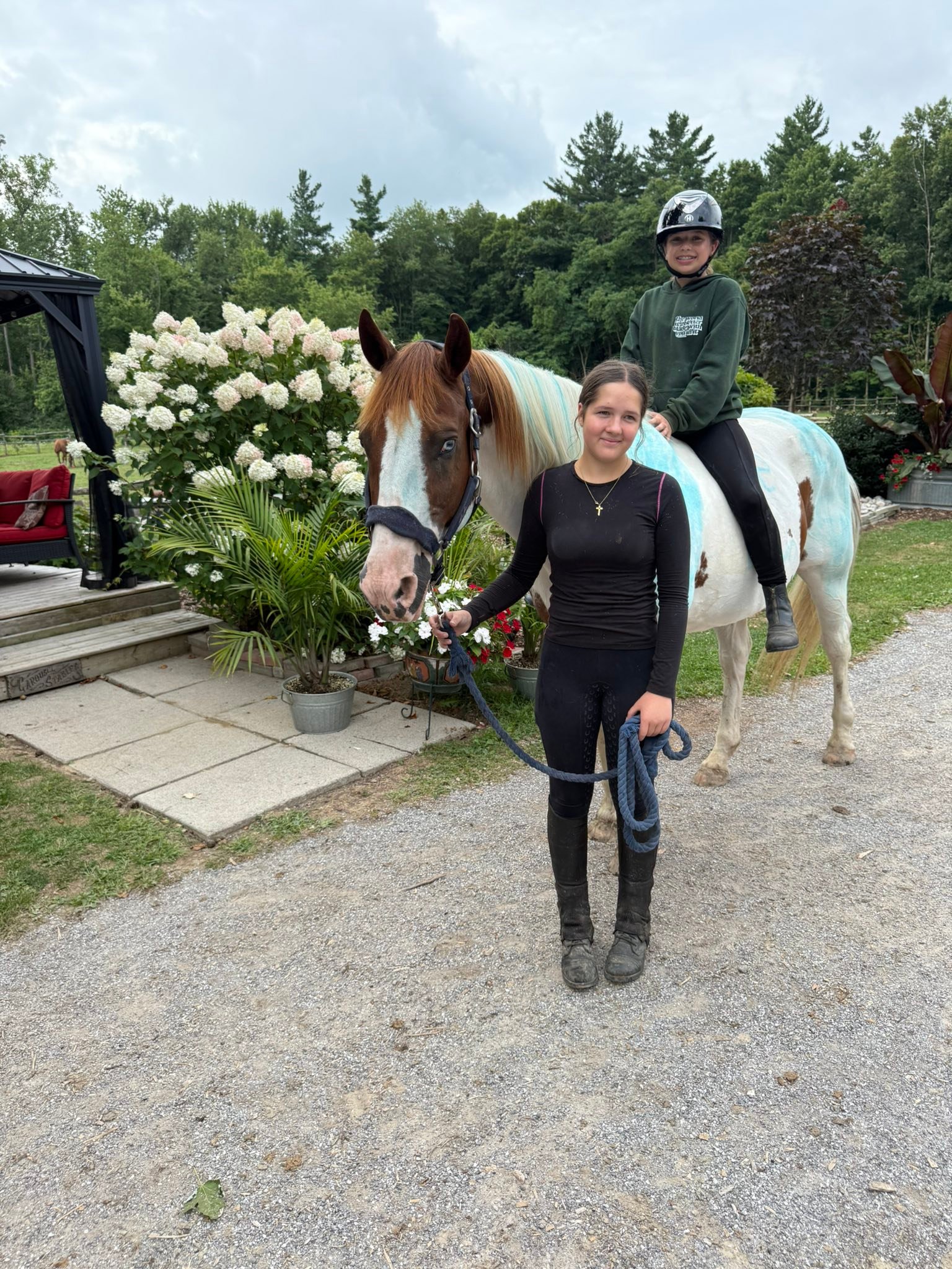 Carousel Stables added a new photo — at... - Carousel Stables