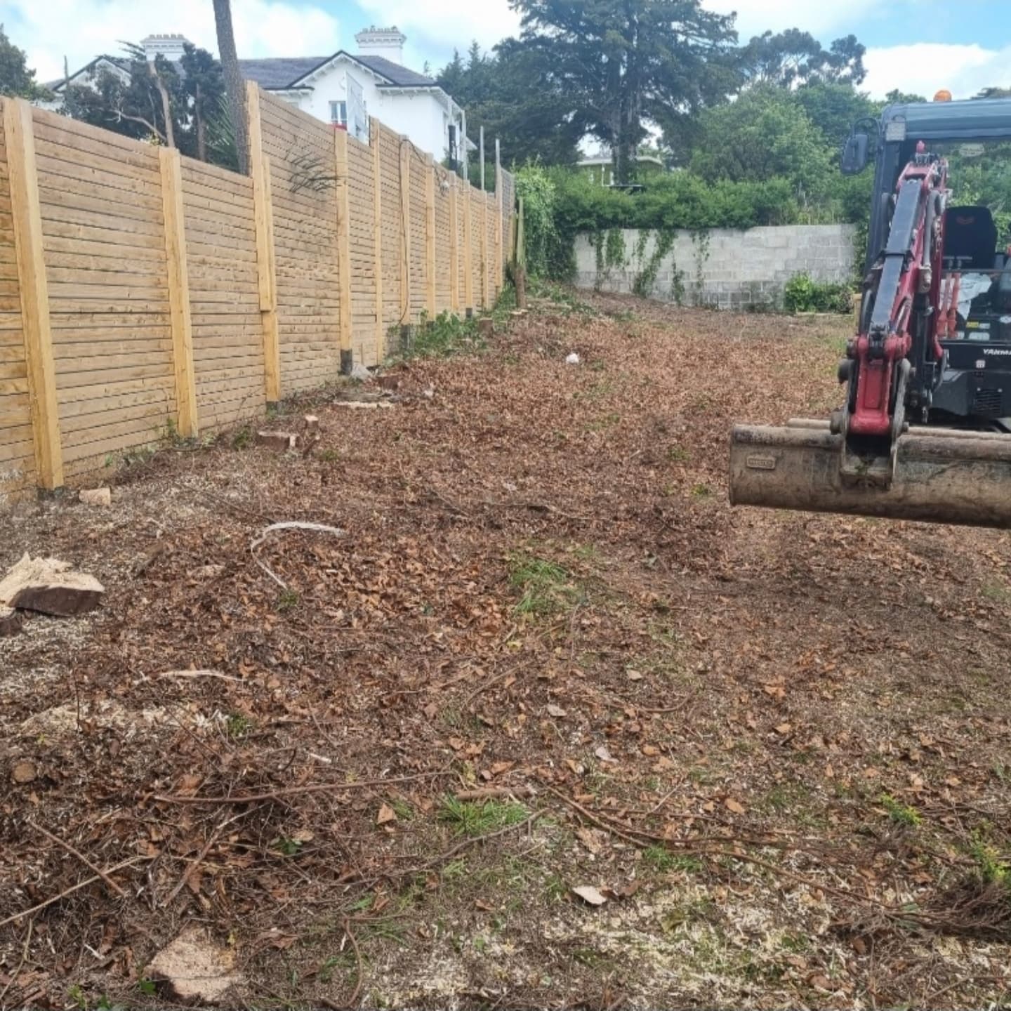 Ryan Tree Services & Landscaping | Dublin