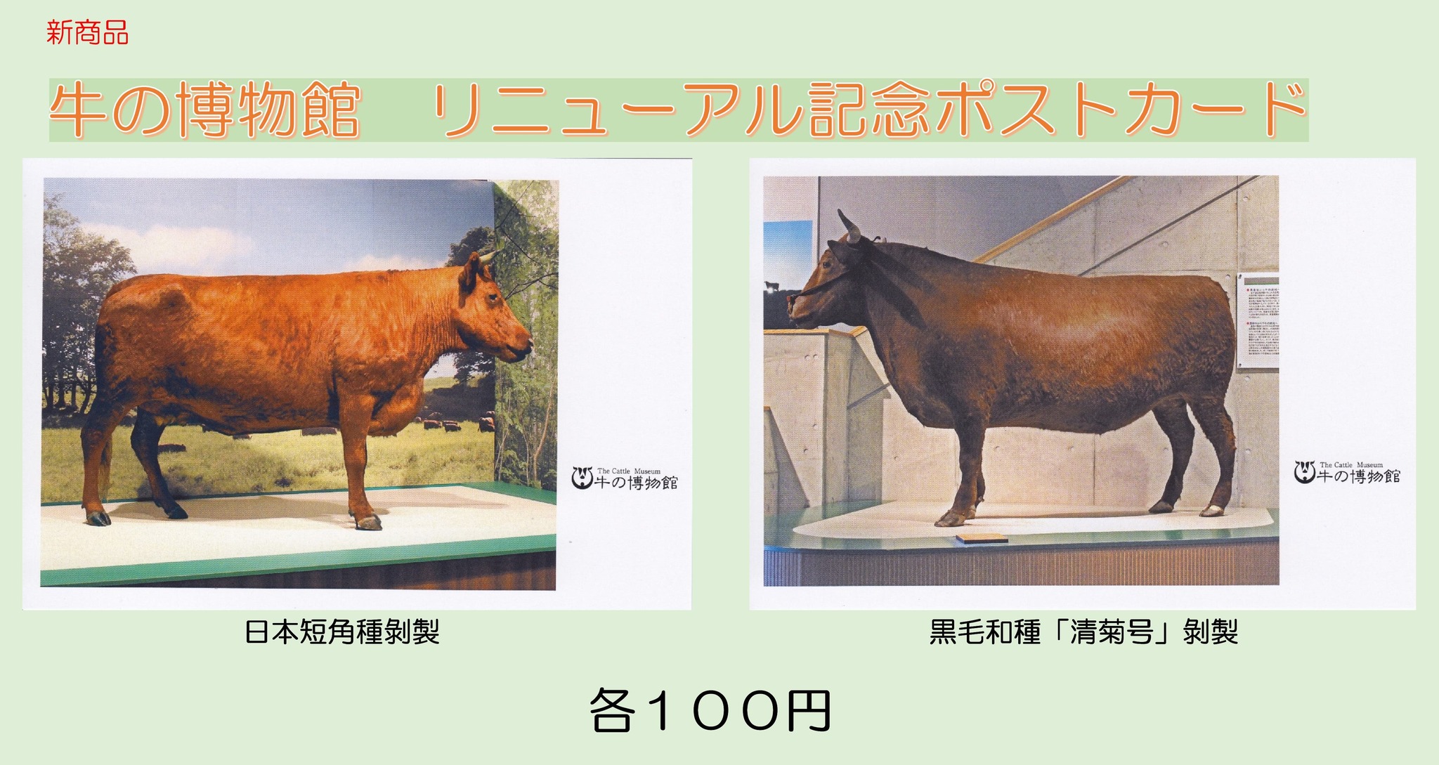 ミュージアムグッズ新商品紹介】 牛の博物館リニューアルオープンを 