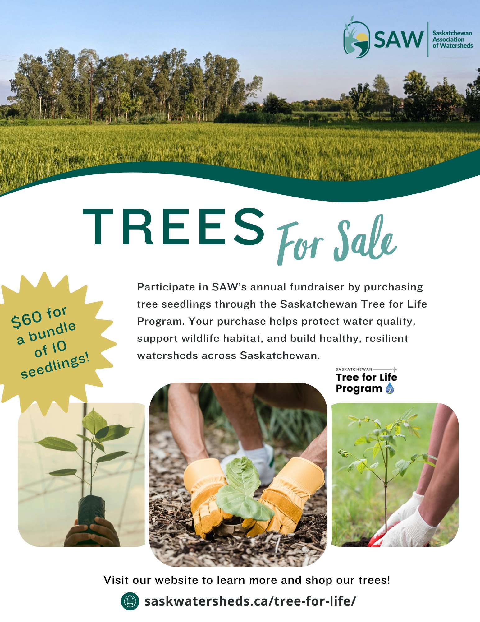 RM - How to Place your Tree Seedling Order 1. Pick your species 2 ...