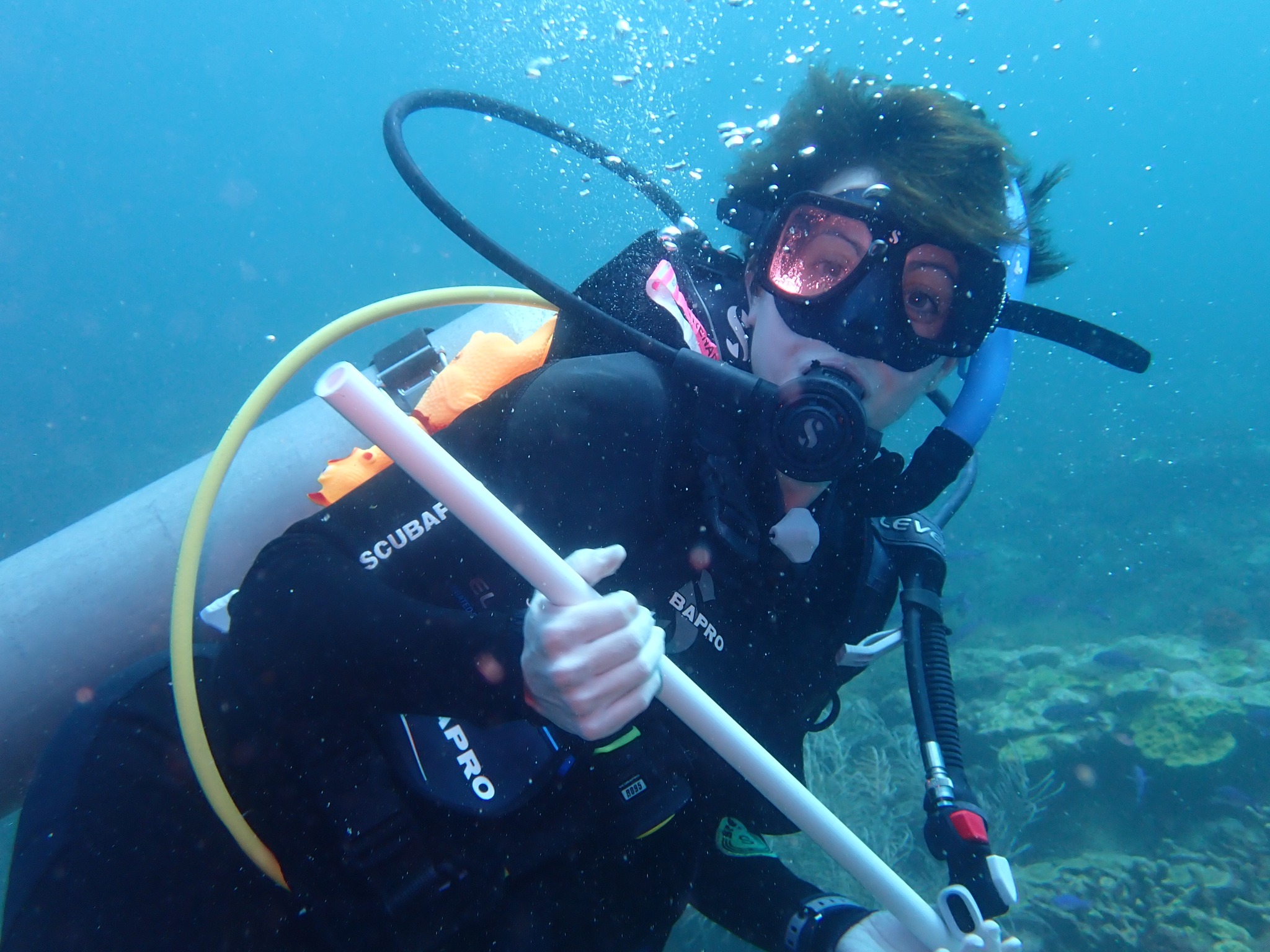 Recherche en conservation et santé des écosystèmes aquatiques