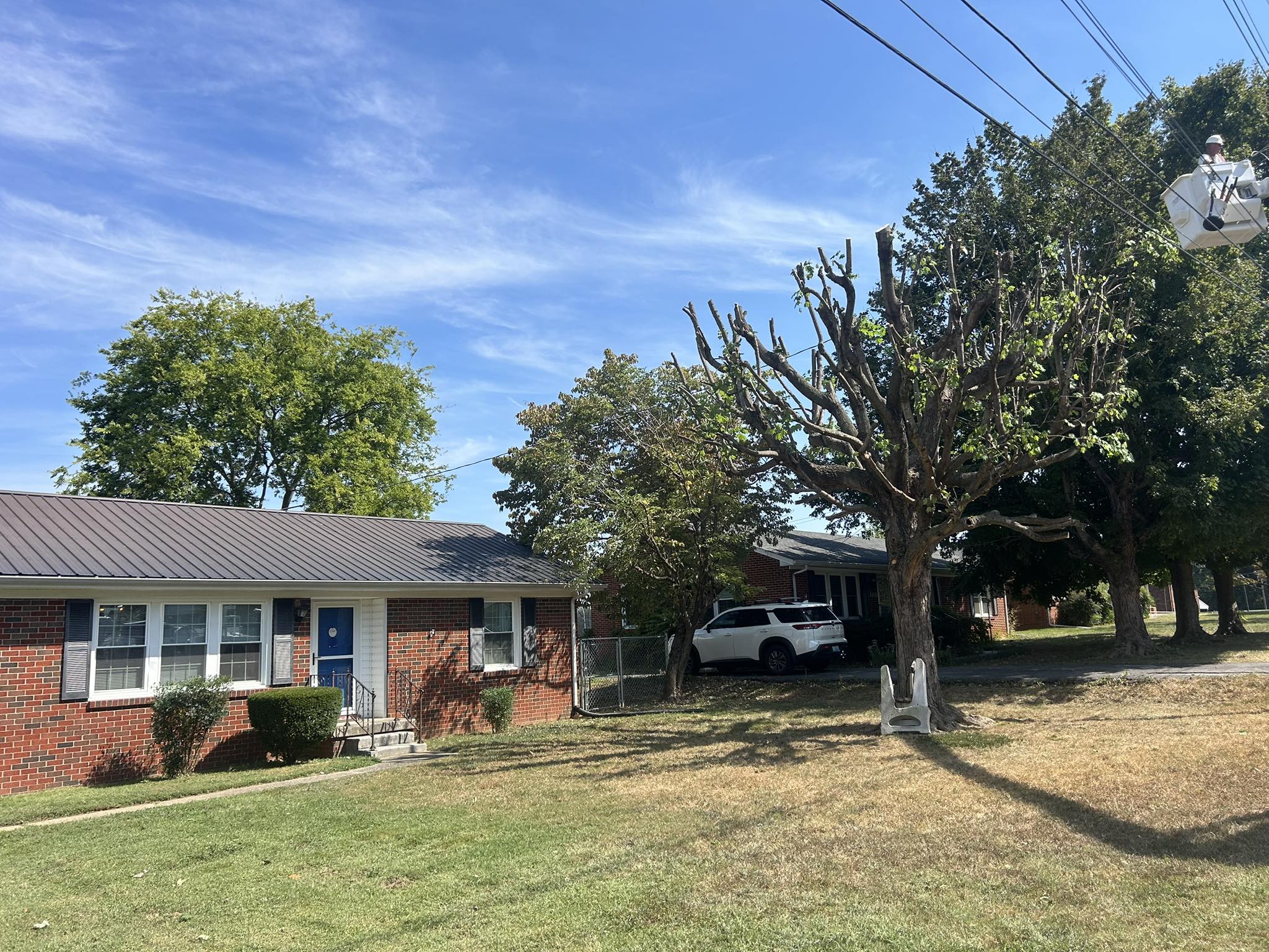 TnT Tree Service | Franklin KY