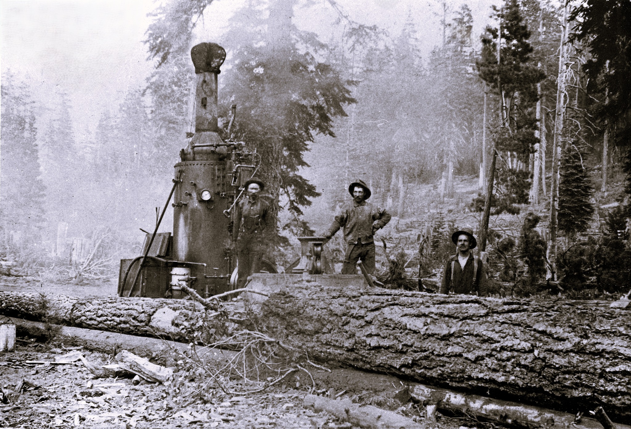 Nevada - This photograph shows a Dolbeer donkey engine working in Dog ...