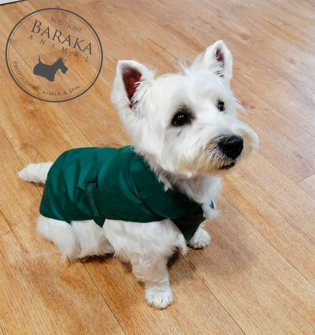 📸... - Baraka Animal - Boutique Peluquería Canina & Spa | Facebook
