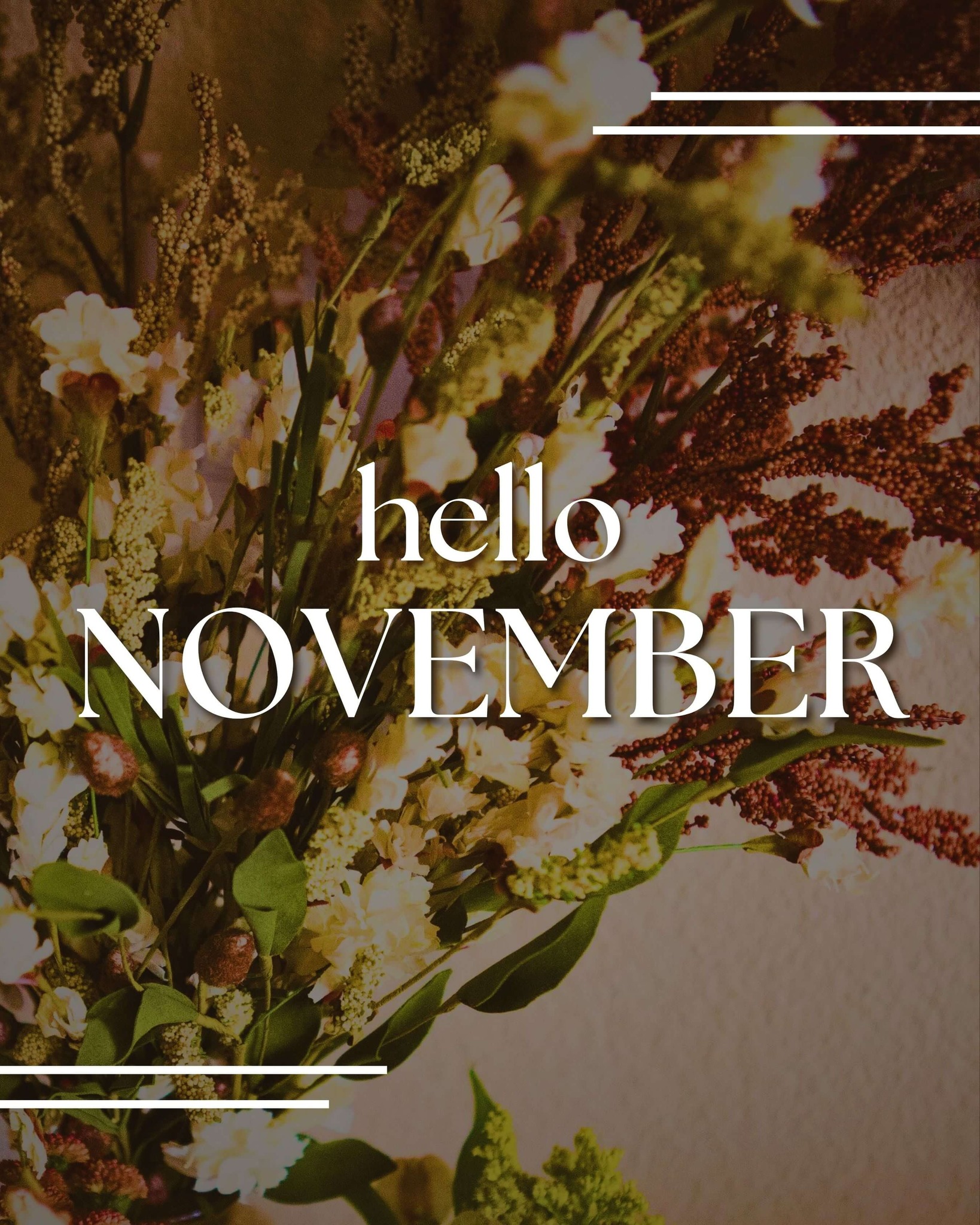 Harvest - Welcome to November, friends. 🍂 A new month calls for a new ...