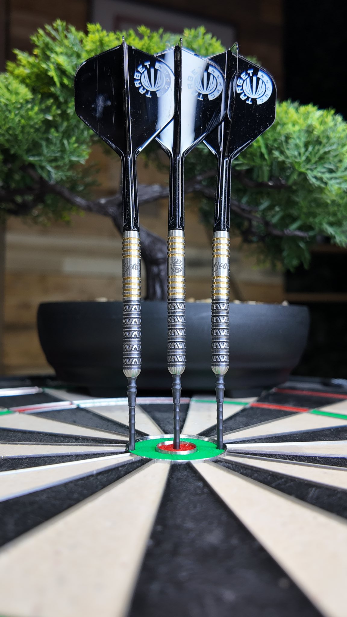 Which Beau Greaves Darts are you choosing? 👍 - Target G1