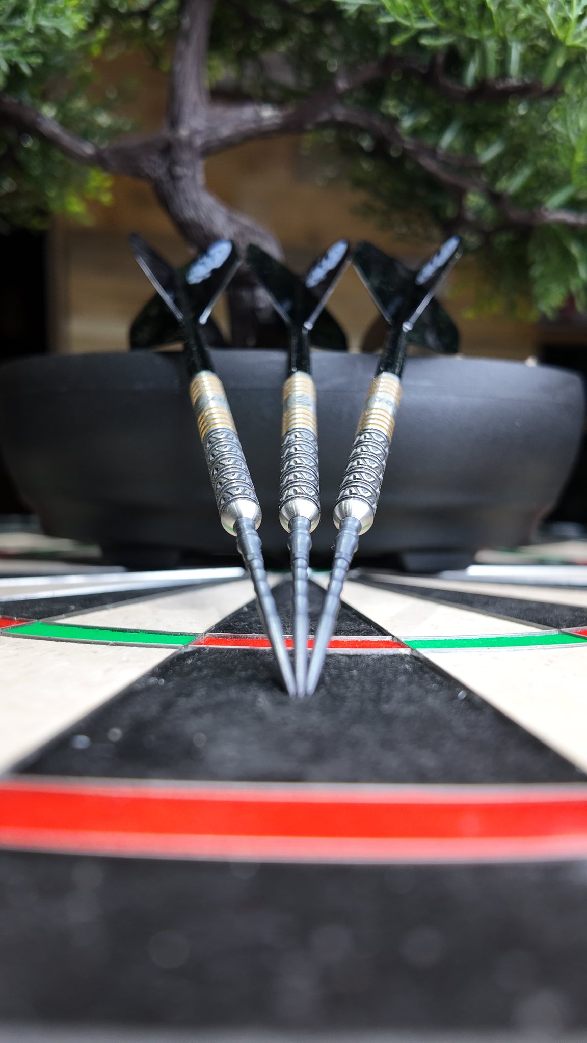 Which Beau Greaves Darts are you choosing? 👍 - Target G1