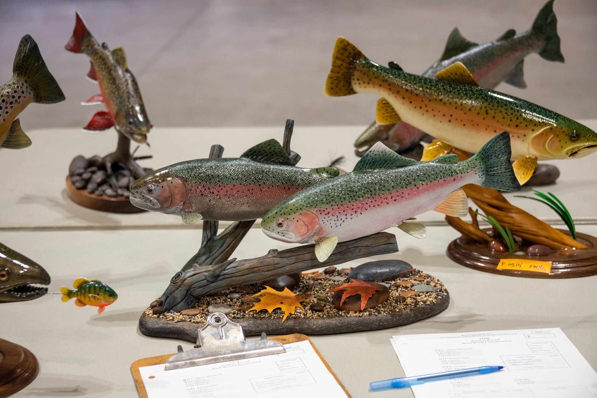 Ward - 🐟🪶🌿 They’re back and bringing friends! Fish, Feathers, and ...