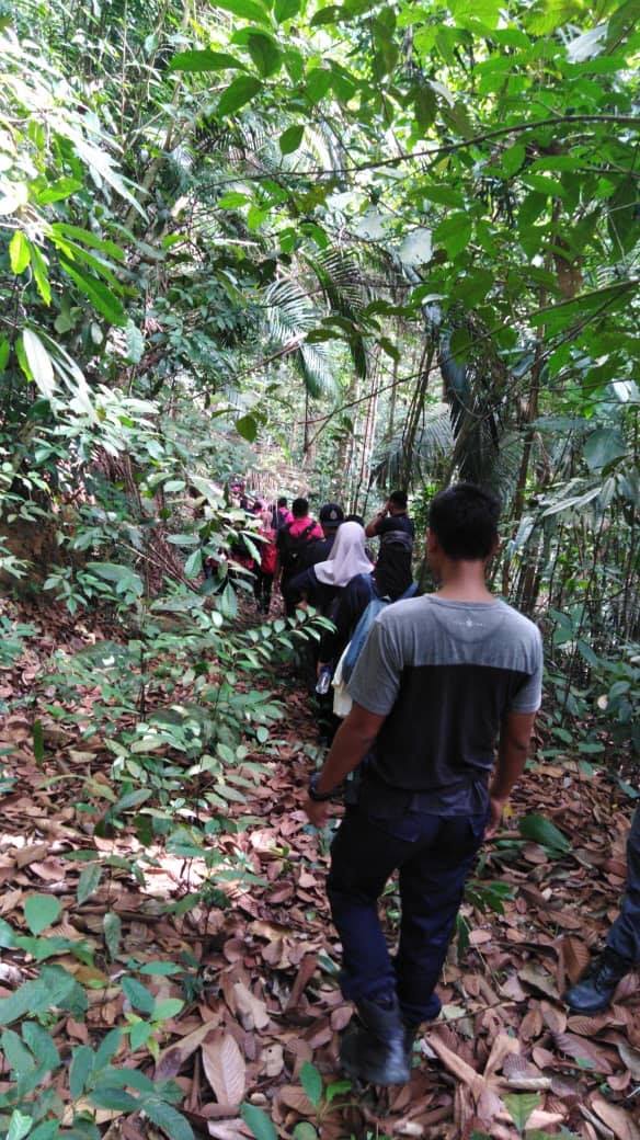 Jungle Trekking Menaikkan Stamina Badan Asiacamp