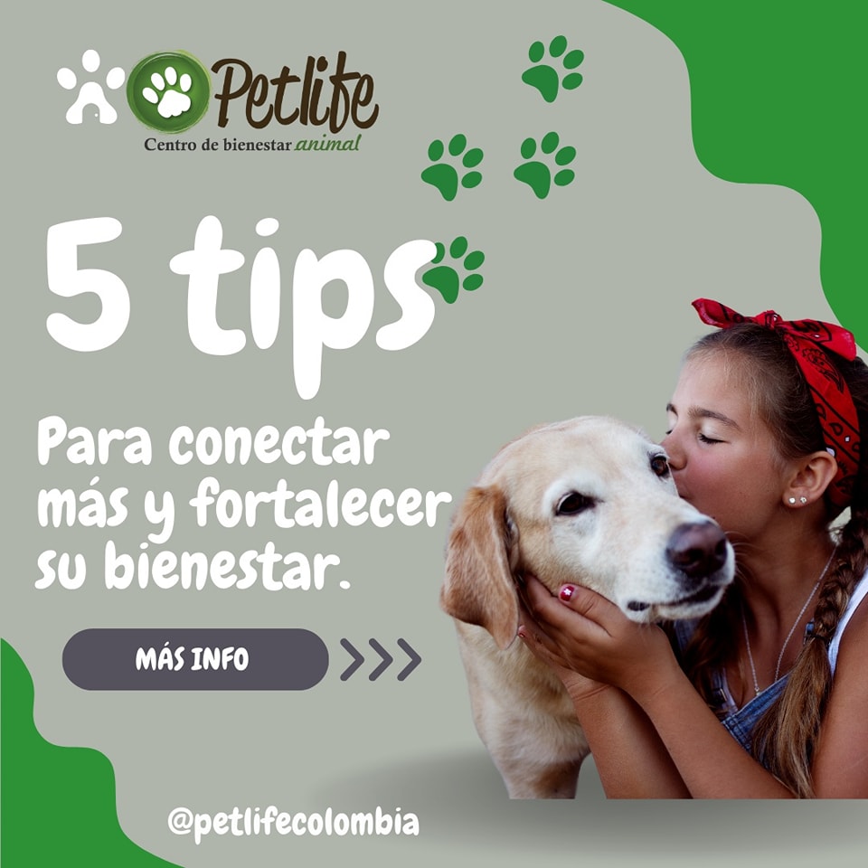 PetLife - ¿Sabías que tu perro también necesita conexión... | Facebook