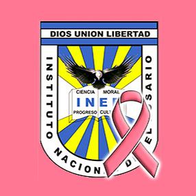 INSTITUTO NACIONAL... - Instituto Nacional de El Rosario INER | Facebook