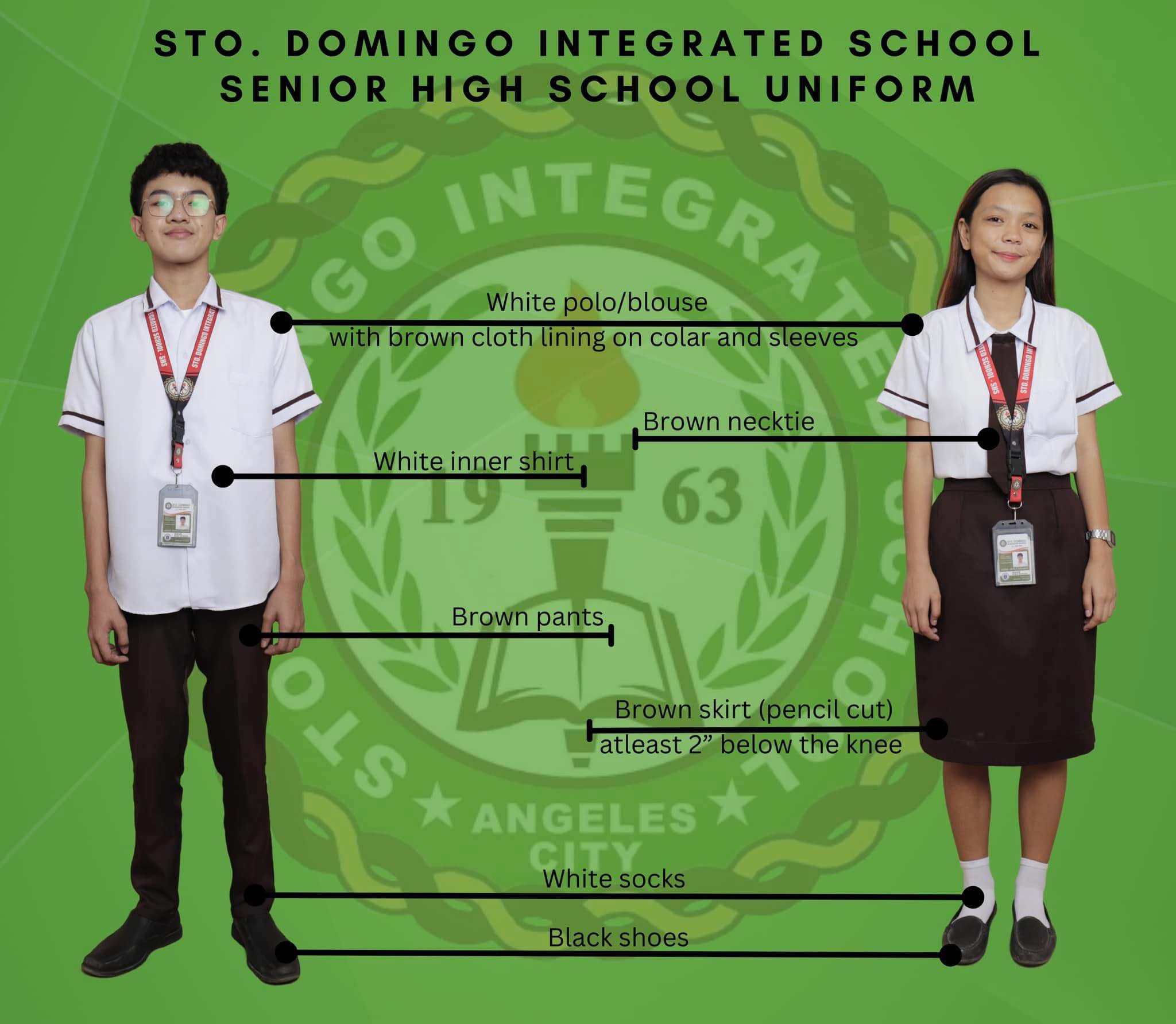 Sto. Domingo Integrated School - SHS, Angeles City Pampanga added a new ...