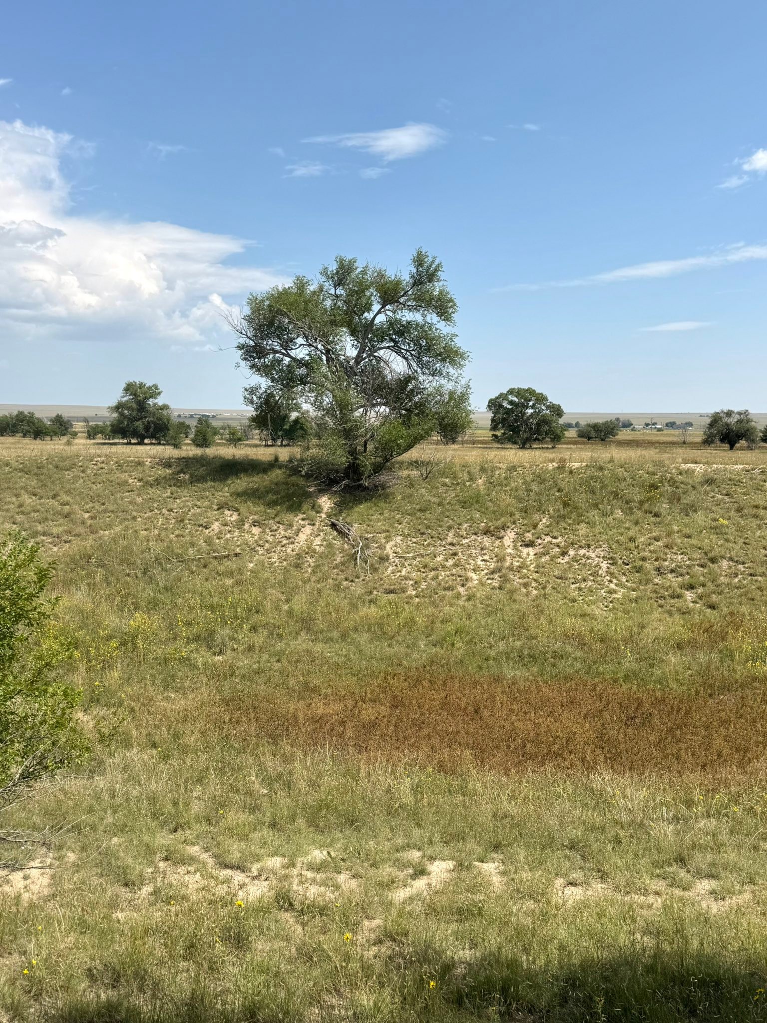 Colorado Lifestyle Properties -Residential, Land, Ranch, & Horse ...