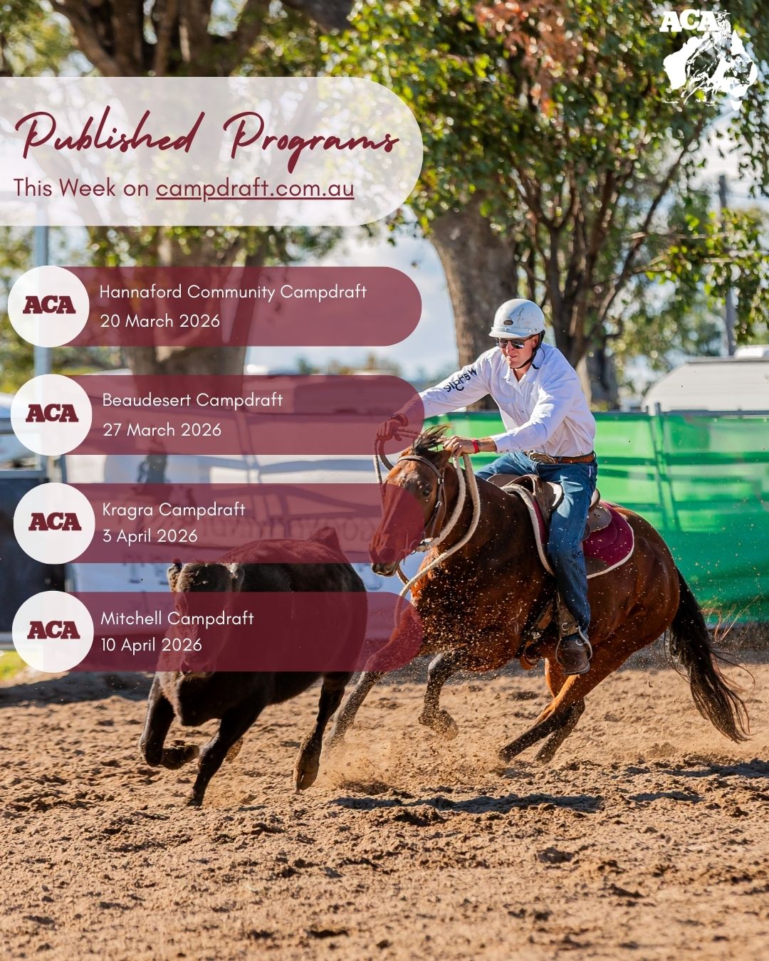 💻 Jump online , 👀... - Australian Campdraft Association | Facebook