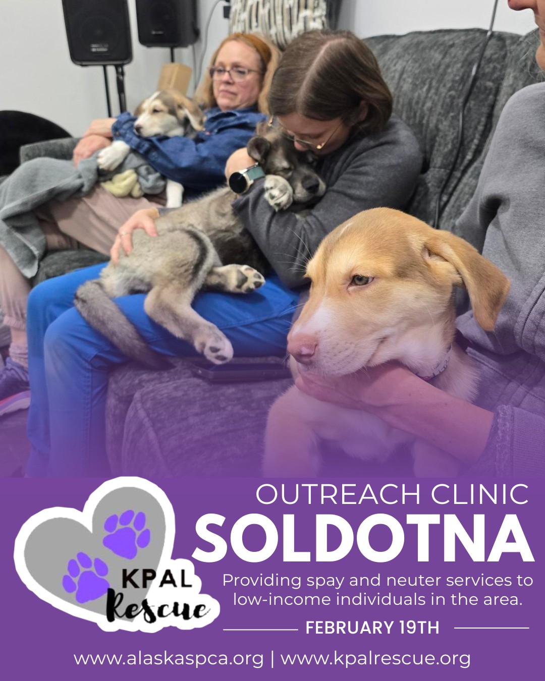 Alaska Low Income Spay Neuter Clinic Soldotna Photo Inspiration