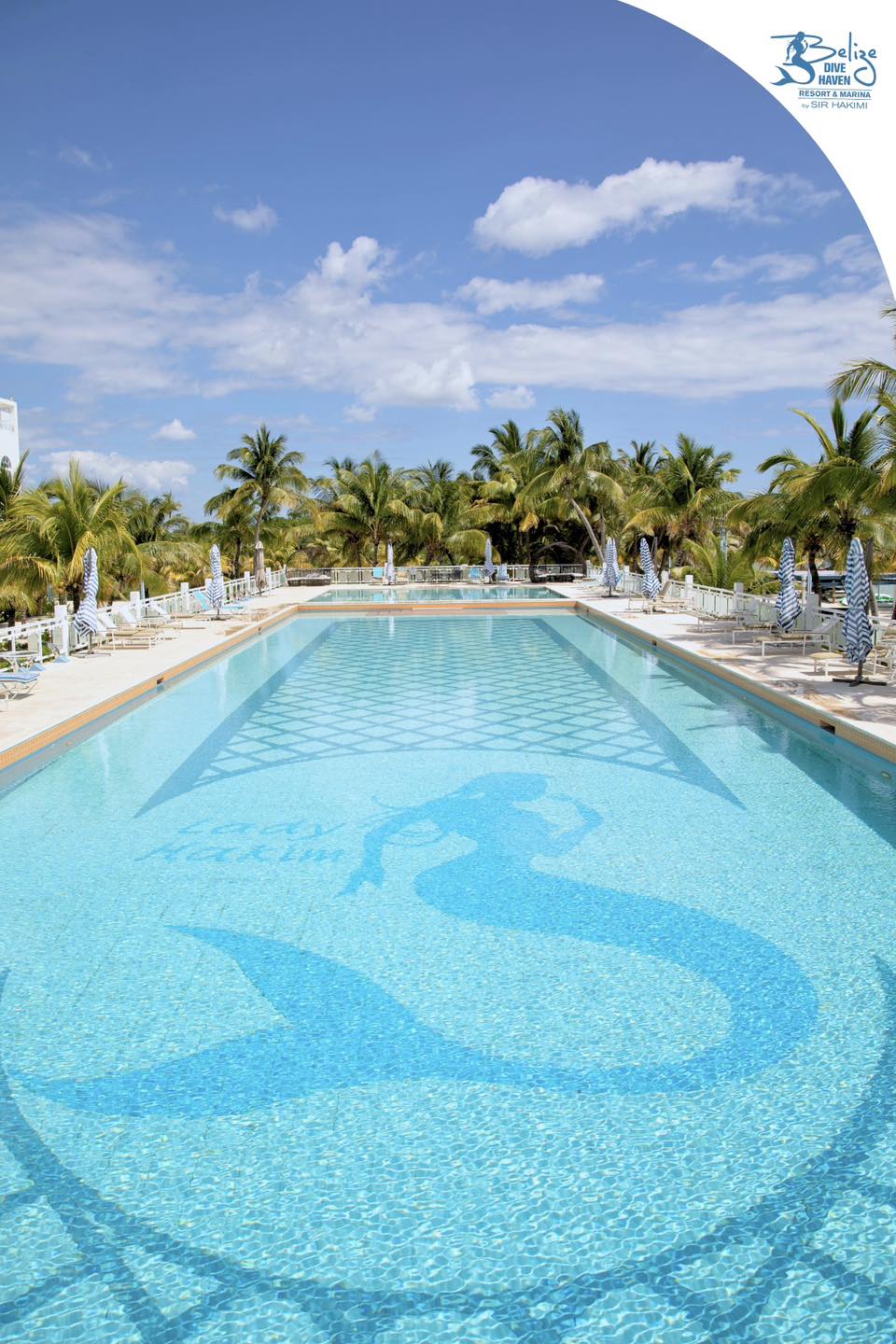 Belize Dive Haven - The beautiful blue water of the Caribbean Sea is ...