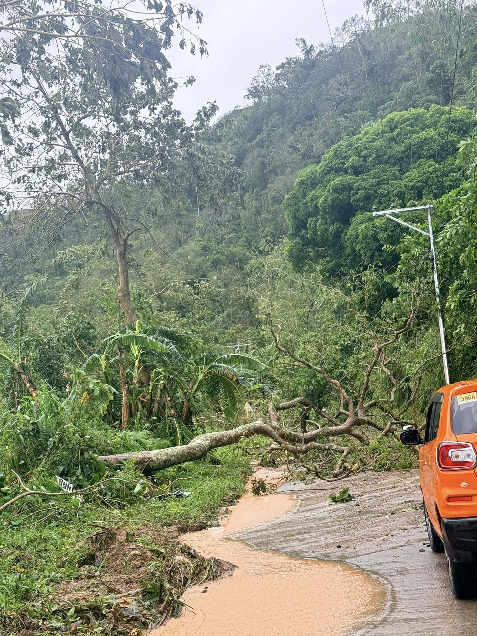 Rappler - Super Typhoon Uwan (Fung-wong) leaves a trail of destruction ...