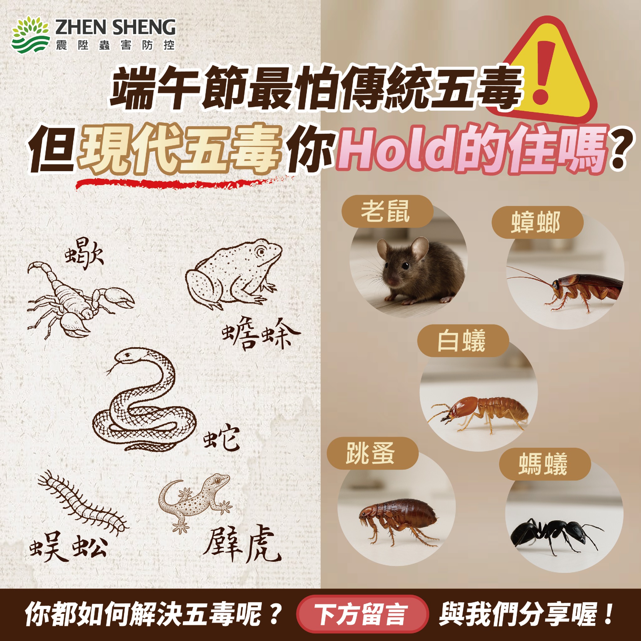震陞蟲害防控 - 🐉 端午五毒已不再困擾，但你知道現代五毒是哪些？ 傳統五毒：蛇、蝎、蜈蚣、壁虎、蟾蜍 已不復見 但現在環境面臨的「現代五毒 ...