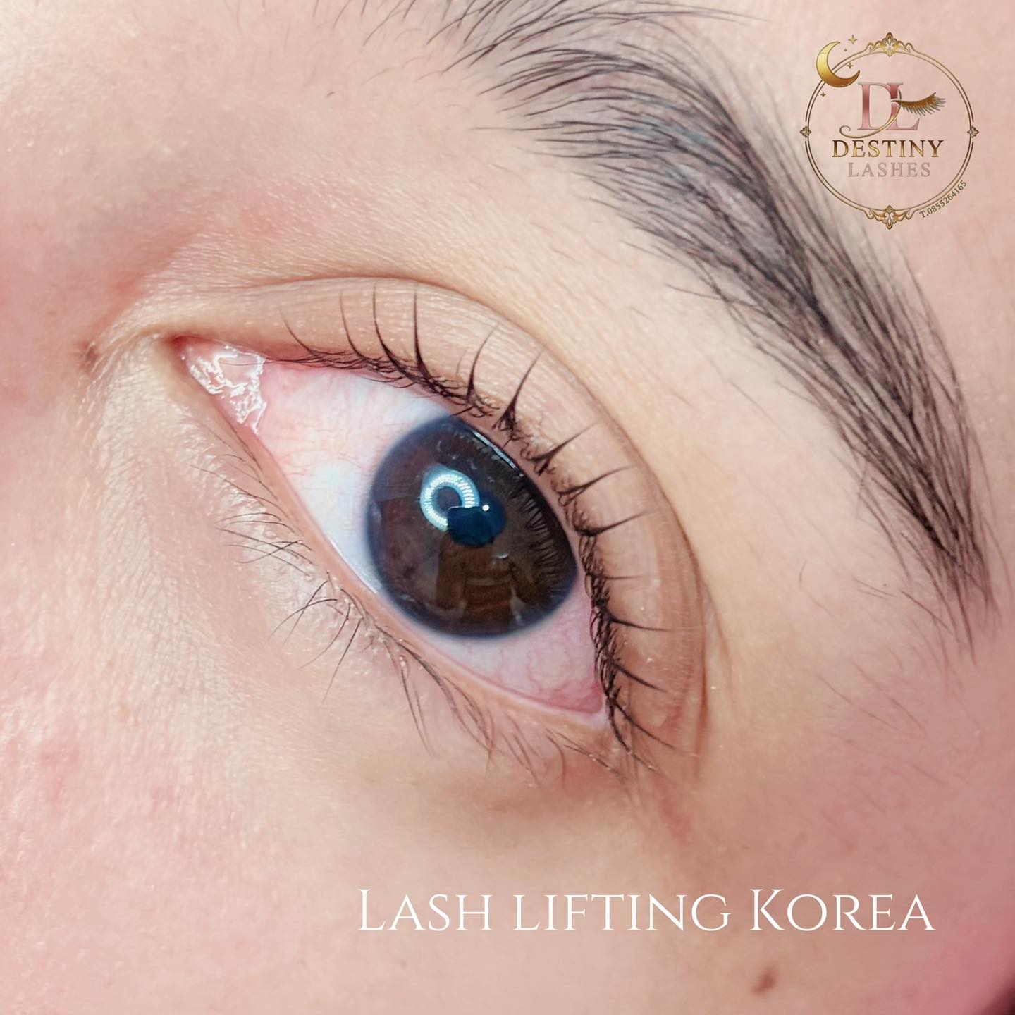 Destiny Lashes | San Sai Luang