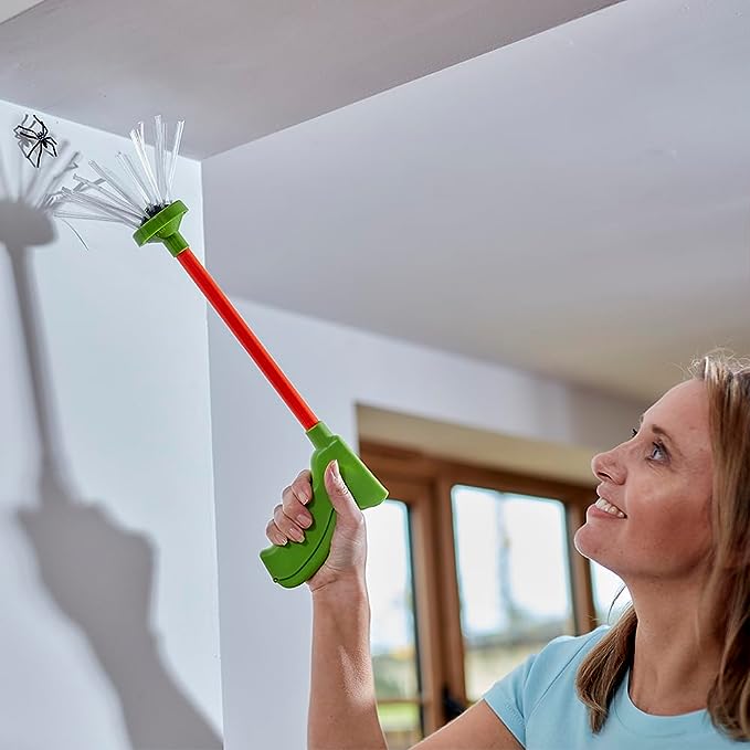 Stansted - It's that time of year when spiders come into our homes! 🕷🕸 ...
