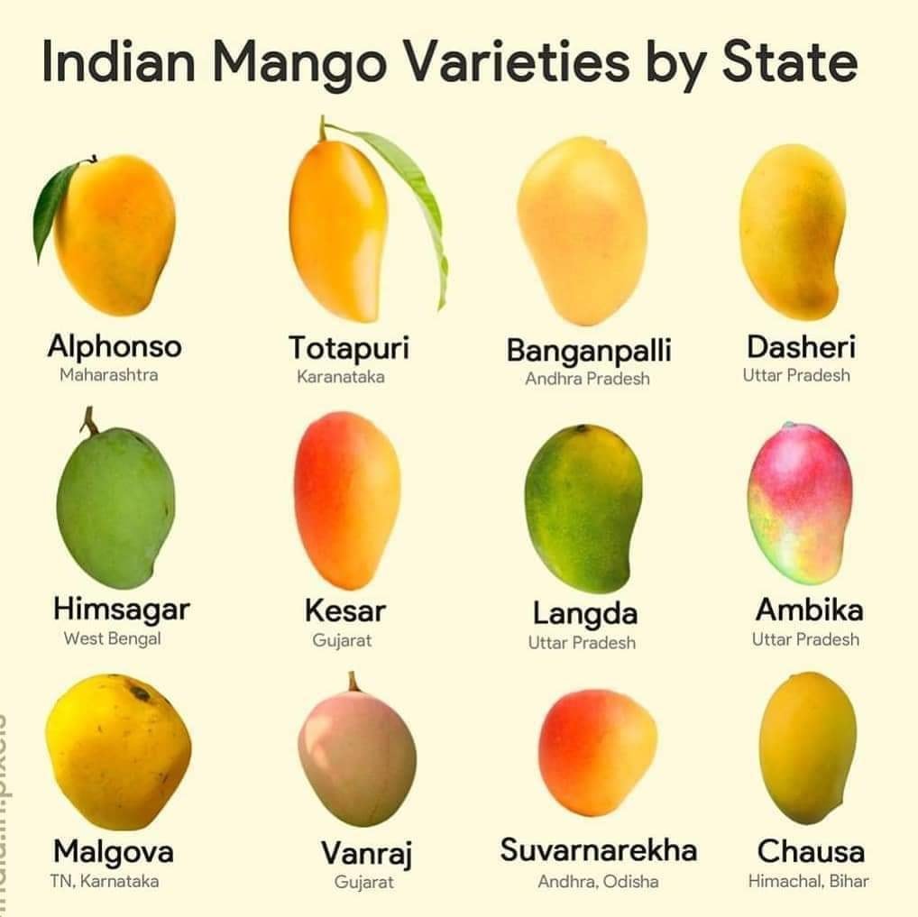 Topali - Types of Mangoes grown in India. Which is your...