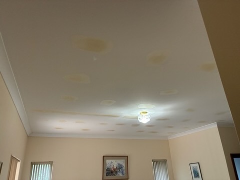 Curated visual reference: Picture Idea: Perth Ceiling Repair