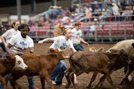 Colville Pro Rodeo | Colville WA