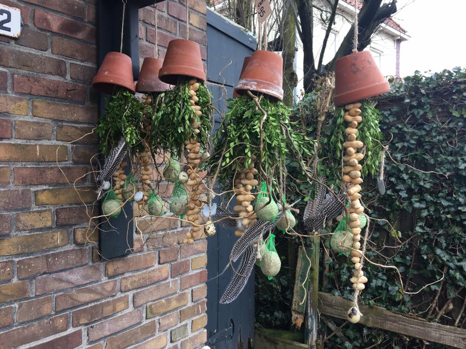 Zorgreizen op maat
