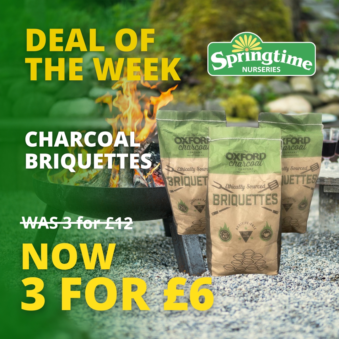 Springtime - 🏷️🔆DEAL OF THE WEEK🔆🏷️ Ethically Sourced Charcoal ...
