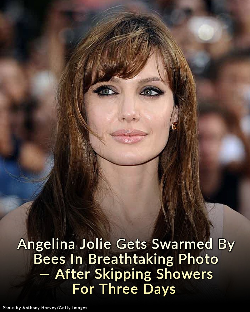 nametests.com - Angelina Jolie stuns in breathtaking photo where she’s ...