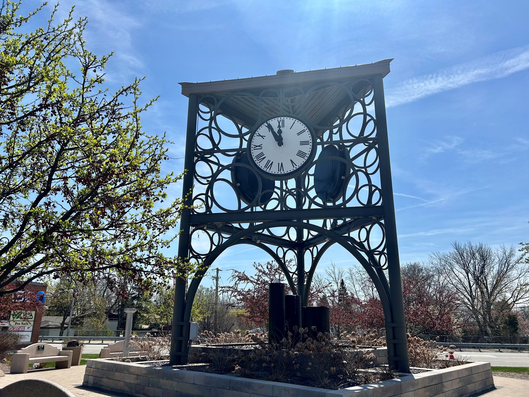 🌳 Interested in ordering trees... - City of Darien, Illinois | Facebook