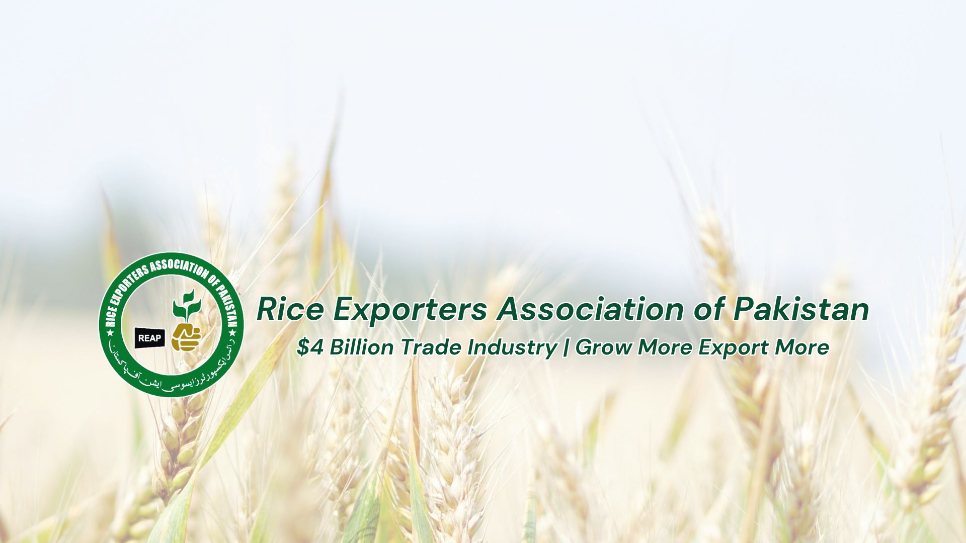 REAP: Rice Exporters Association Of Pakistan | Lahore
