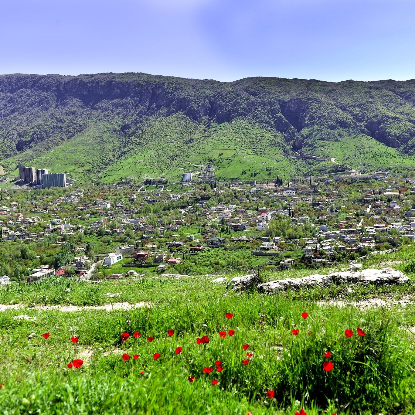 Parwarda Shaqlawa Parwarda