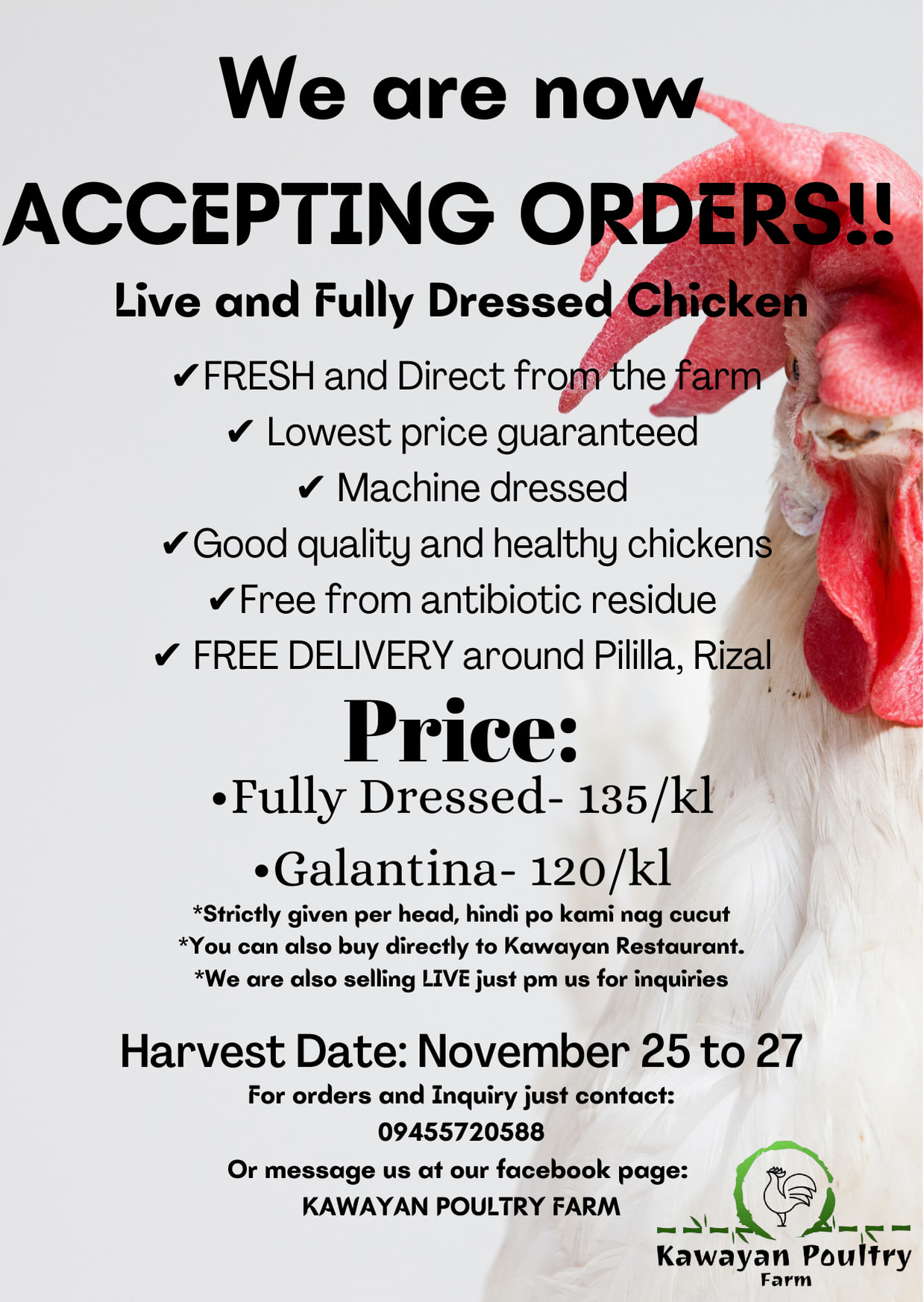 Kawayan Poultry FARM | Rizal
