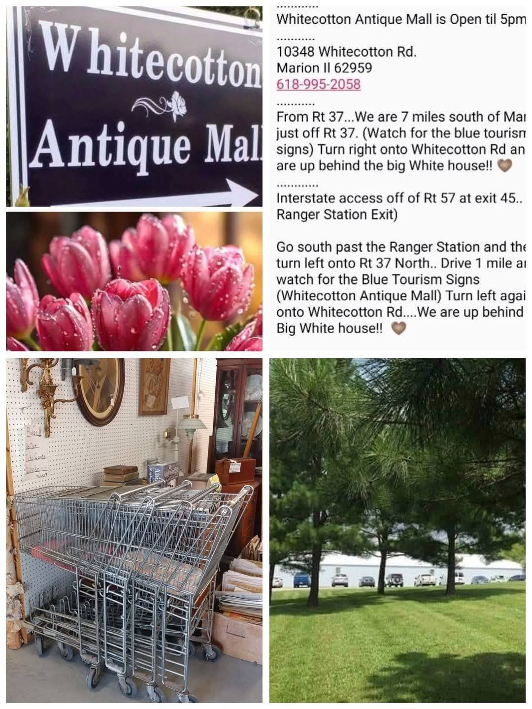 Whitecotton Antique Mall added... - Whitecotton Antique Mall