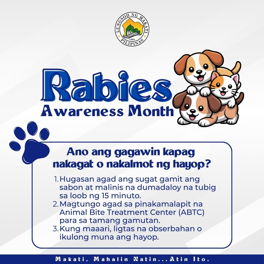 Bitcare Animal Bite Center - Lucena City | Lucena