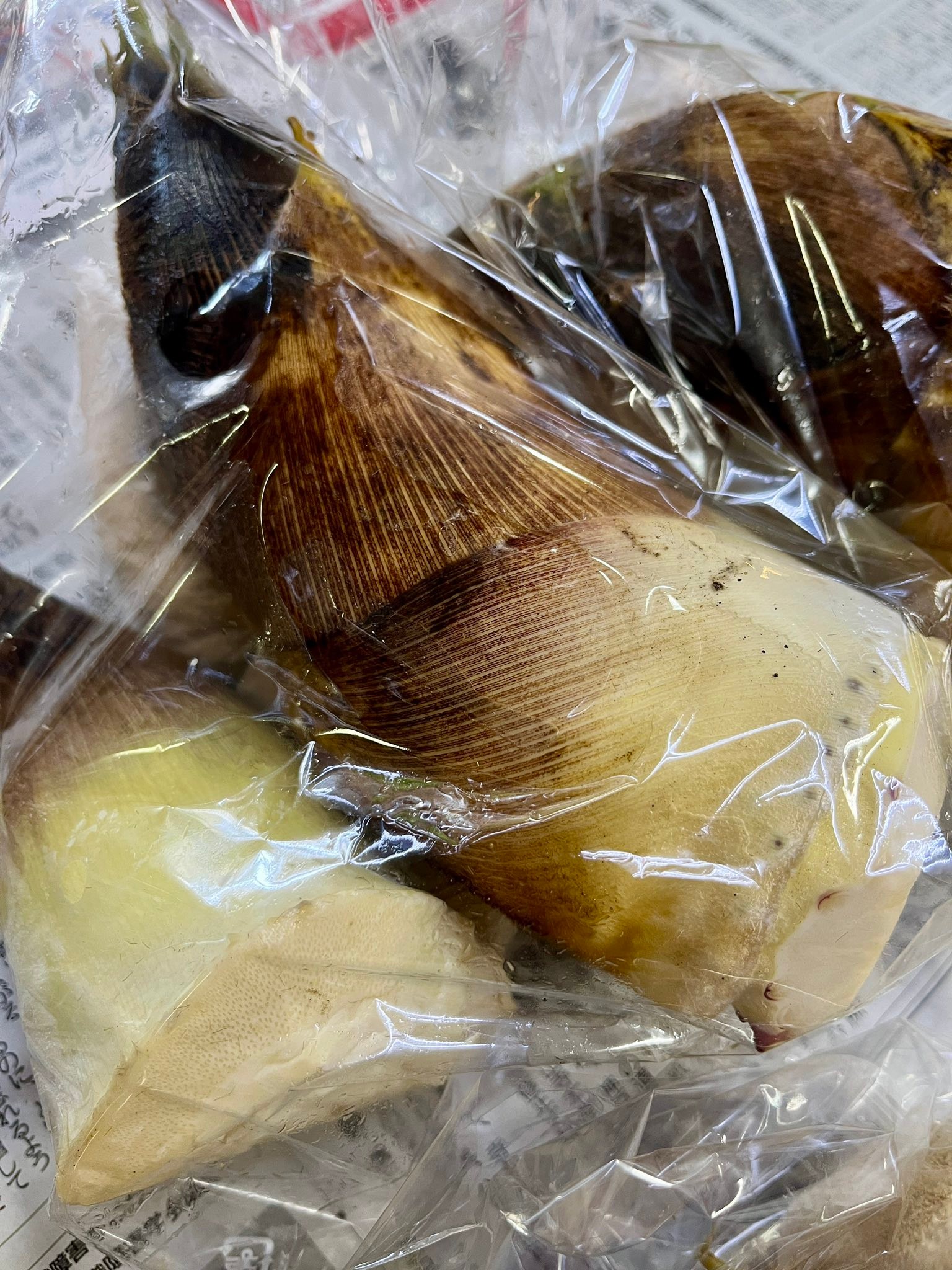 2025年4月17日（木） 出荷数は少ないですが、種類は多くなってきました 