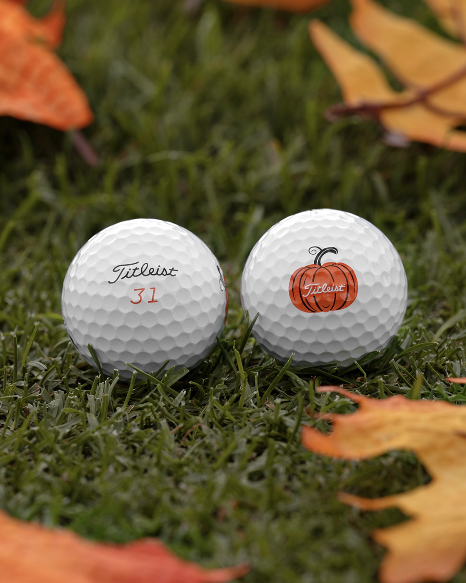 The perfect collection for those nightmare rounds. The Halloween