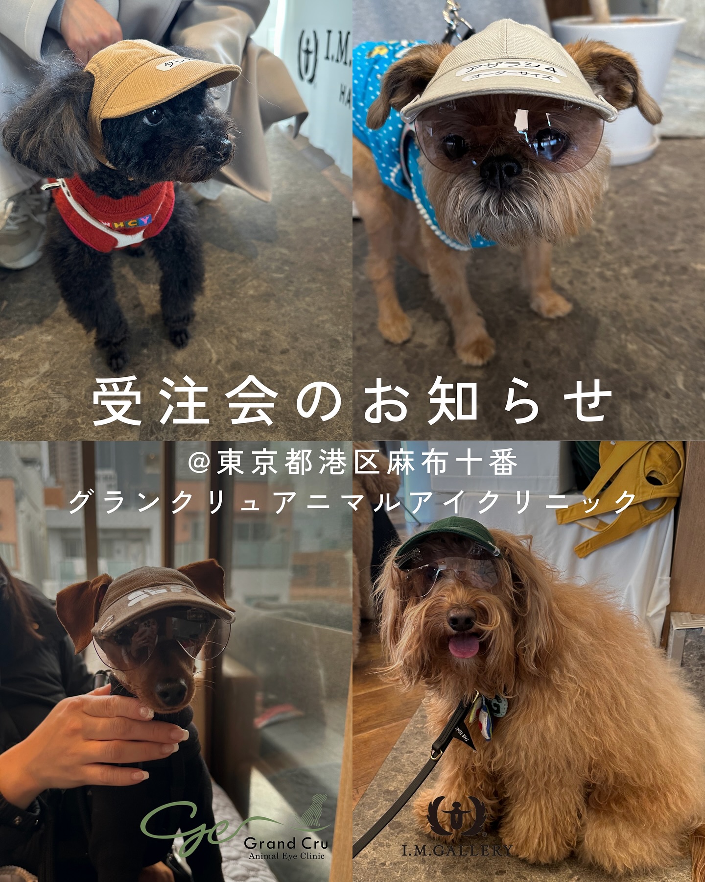 imギャラリーキャップ&ワングラス 丸型1 チワワサイズ