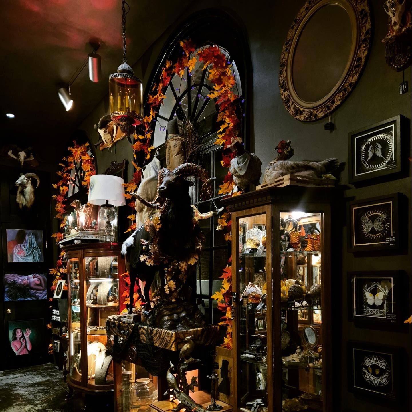 Bizarre Antiques & Oddities | San Luis Obispo CA