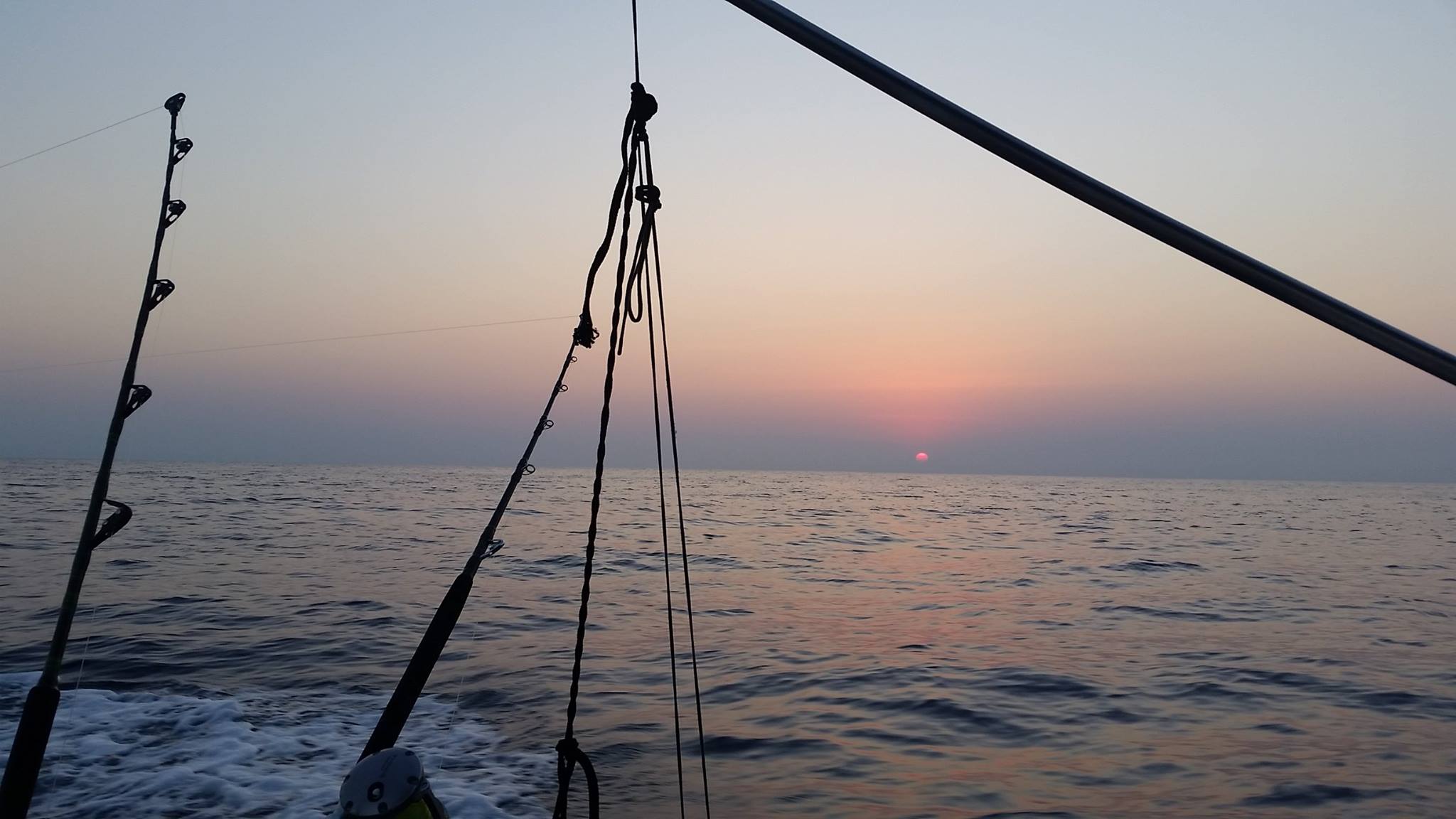 Foreel Tours & Sport Fishing Home Facebook