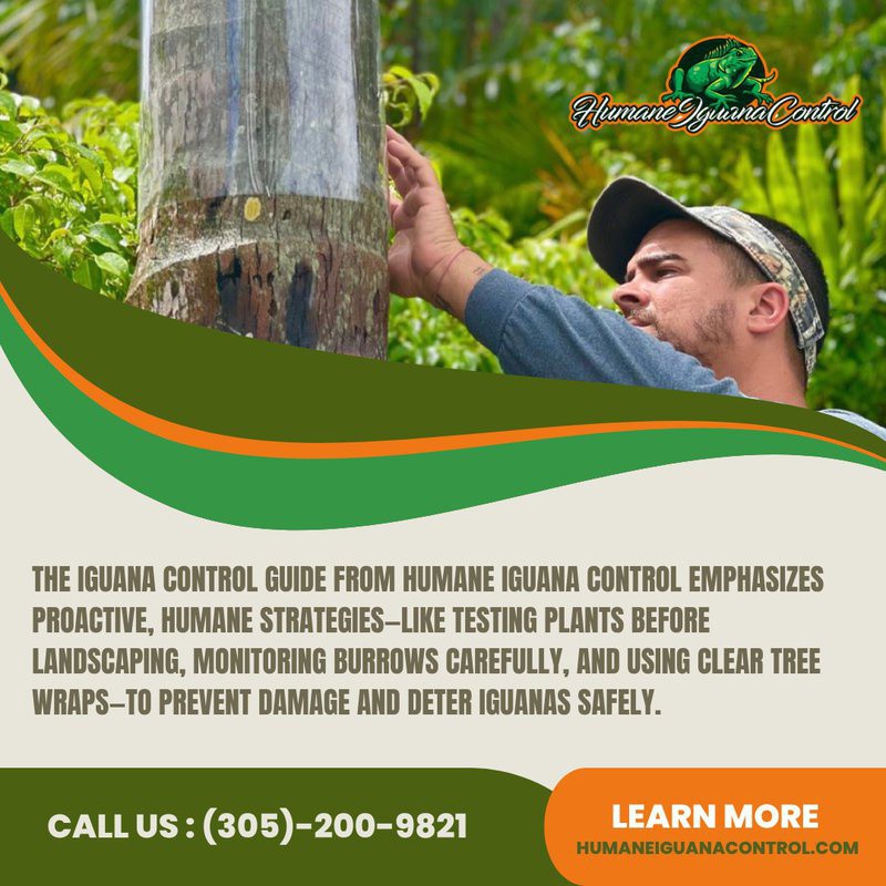 Humane - The iguana control guide suggests using a clear plastic wrap ...